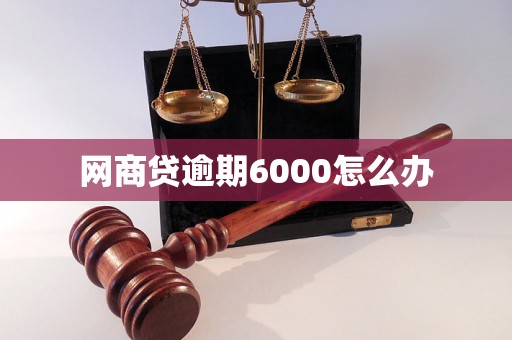 网商贷逾期6000怎么办