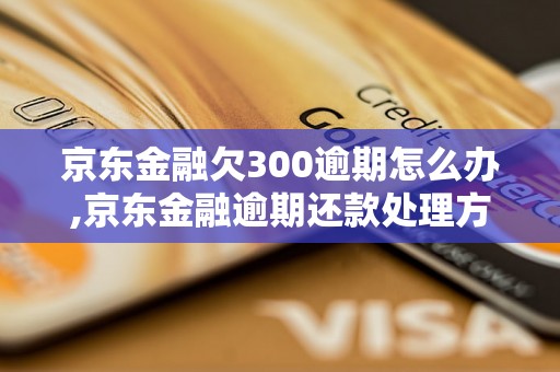 京东金融欠300逾期怎么办,京东金融逾期还款处理方法