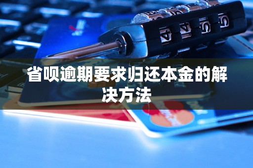 省呗逾期要求归还本金的解决方法