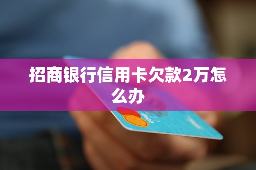 招商银行信用卡欠款2万怎么办