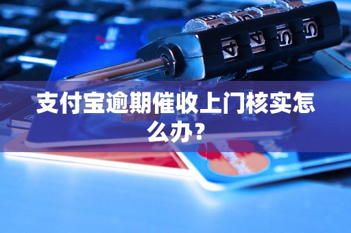 支付宝逾期催收上门核实怎么办？