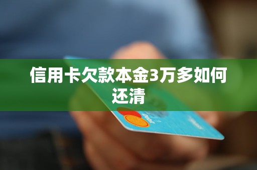 信用卡欠款本金3万多如何还清