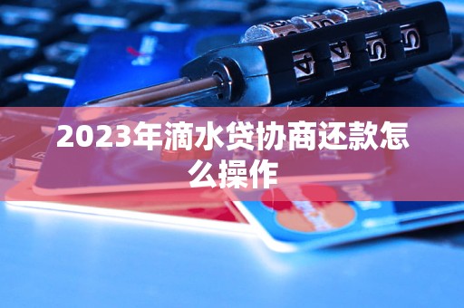 2023年滴水贷协商还款怎么操作