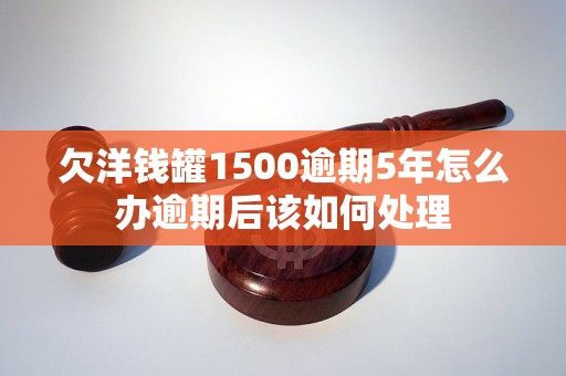 欠洋钱罐1500逾期5年怎么办逾期后该如何处理