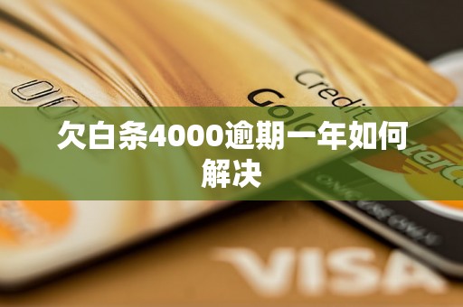 欠白条4000逾期一年如何解决