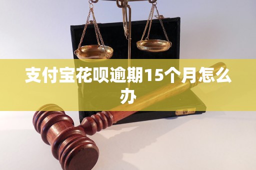 支付宝花呗逾期15个月怎么办