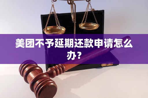 美团不予延期还款申请怎么办？