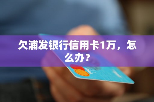 欠浦发银行信用卡1万，怎么办？