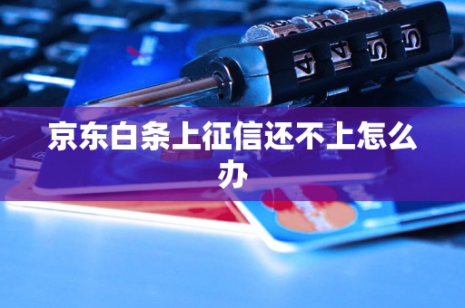 京东白条上征信还不上怎么办