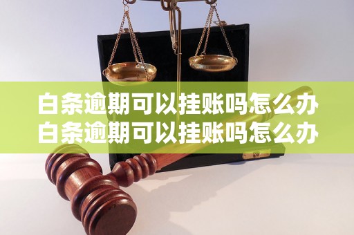 白条逾期可以挂账吗怎么办白条逾期可以挂账吗怎么办