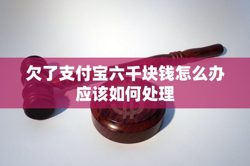 欠了支付宝六千块钱怎么办应该如何处理