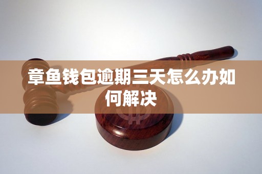 章鱼钱包逾期三天怎么办如何解决