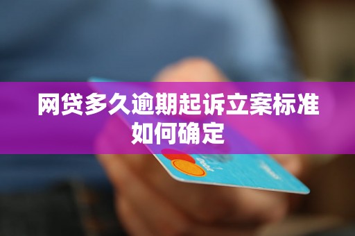 网贷多久逾期起诉立案标准如何确定