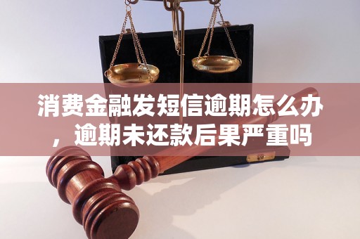 消费金融发短信逾期怎么办，逾期未还款后果严重吗