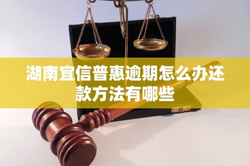 湖南宜信普惠逾期怎么办还款方法有哪些