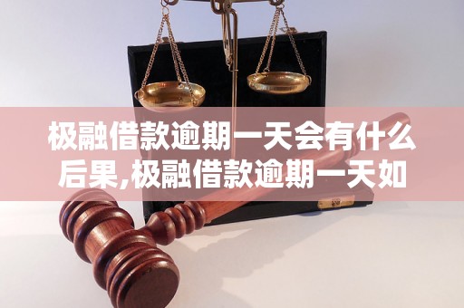 极融借款逾期一天会有什么后果,极融借款逾期一天如何处理