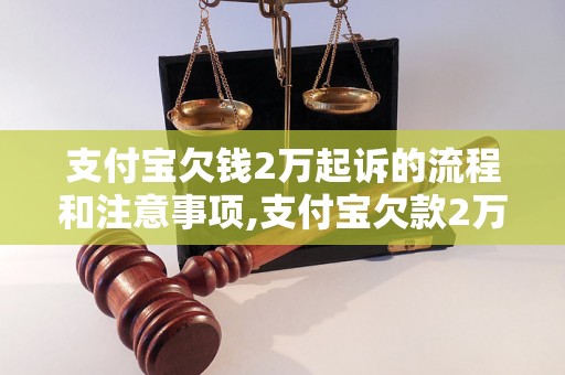 支付宝欠钱2万起诉的流程和注意事项,支付宝欠款2万如何维权