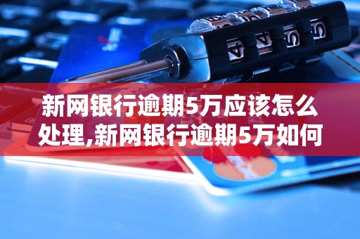 新网银行逾期5万应该怎么处理,新网银行逾期5万如何催收