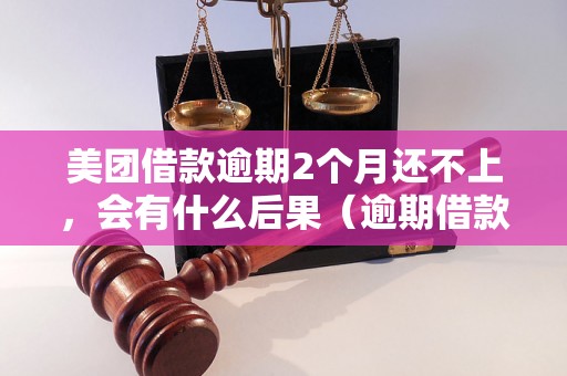 美团借款逾期2个月还不上，会有什么后果（逾期借款处理流程解析）