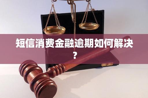 短信消费金融逾期如何解决？