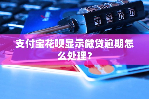 支付宝花呗显示微贷逾期怎么处理？