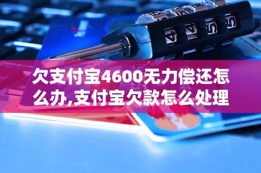 欠支付宝4600无力偿还怎么办,支付宝欠款怎么处理