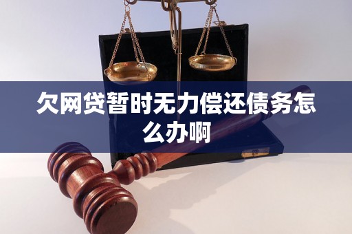 欠网贷暂时无力偿还债务怎么办啊