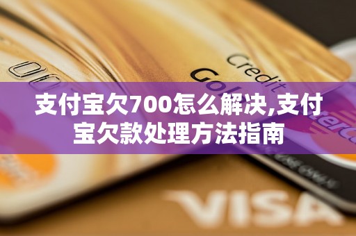 支付宝欠700怎么解决,支付宝欠款处理方法指南