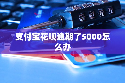 支付宝花呗逾期了5000怎么办