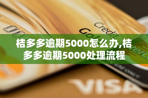 桔多多逾期5000怎么办,桔多多逾期5000处理流程