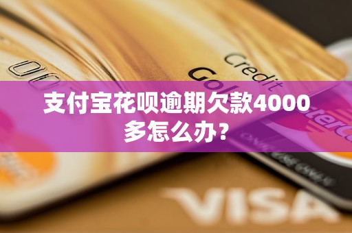 支付宝花呗逾期欠款4000多怎么办？