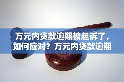 万元内贷款逾期被起诉了，如何应对？万元内贷款逾期被起诉后的解决方法