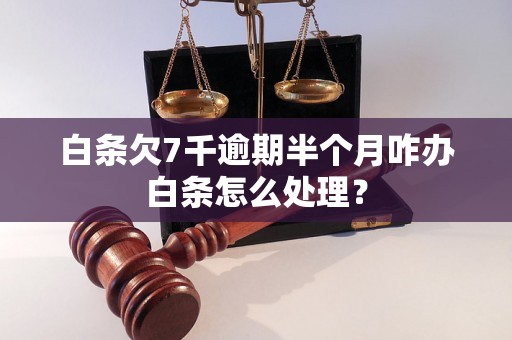 白条欠7千逾期半个月咋办白条怎么处理？