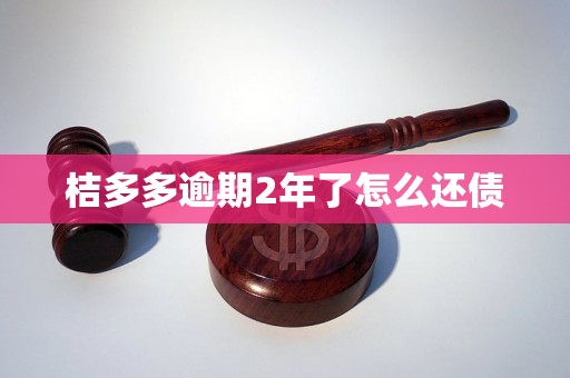 桔多多逾期2年了怎么还债