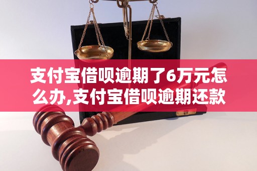 支付宝借呗逾期了6万元怎么办,支付宝借呗逾期还款的后果