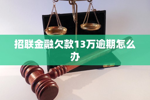 招联金融欠款13万逾期怎么办