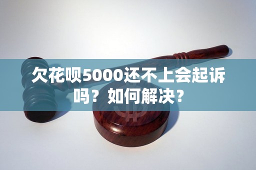 欠花呗5000还不上会起诉吗？如何解决？