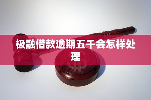 极融借款逾期五千会怎样处理