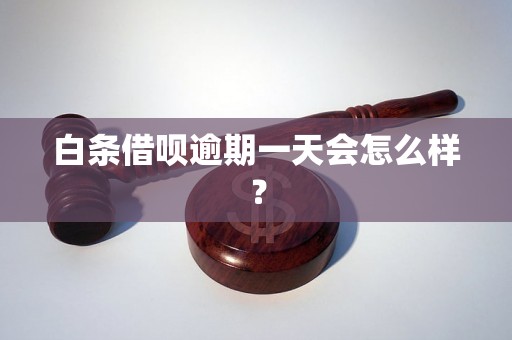 白条借呗逾期一天会怎么样？