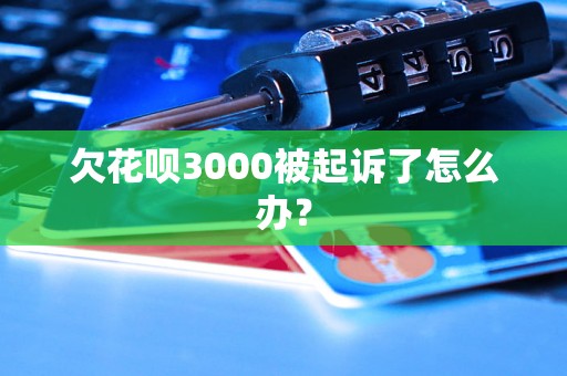 欠花呗3000被起诉了怎么办？