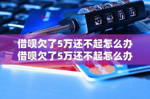 借呗欠了5万还不起怎么办借呗欠了5万还不起怎么办？