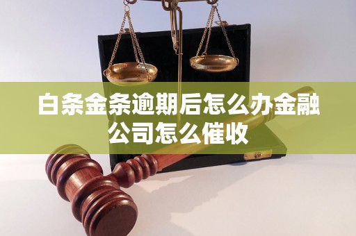 白条金条逾期后怎么办金融公司怎么催收