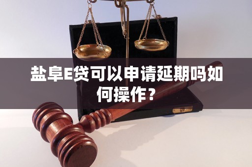 盐阜E贷可以申请延期吗如何操作？