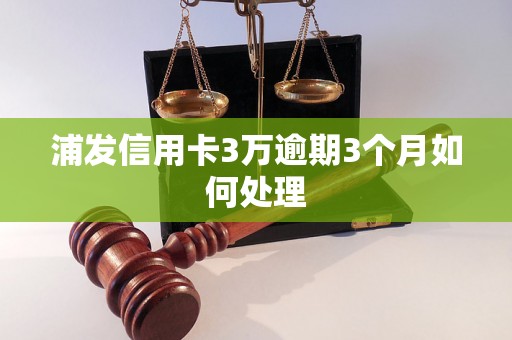 浦发信用卡3万逾期3个月如何处理