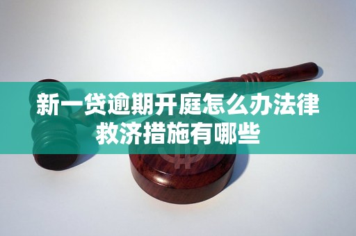 新一贷逾期开庭怎么办法律救济措施有哪些