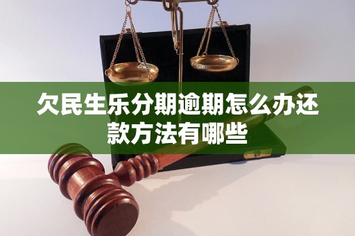 欠民生乐分期逾期怎么办还款方法有哪些