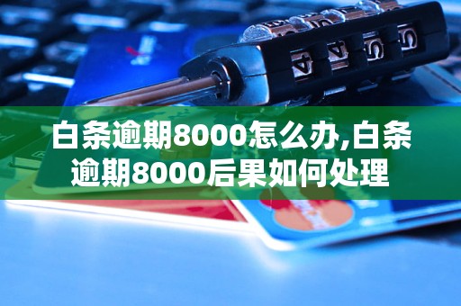 白条逾期8000怎么办,白条逾期8000后果如何处理