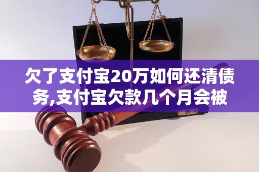 欠了支付宝20万如何还清债务,支付宝欠款几个月会被法律追究