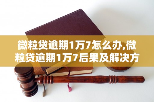 微粒贷逾期1万7怎么办,微粒贷逾期1万7后果及解决方法