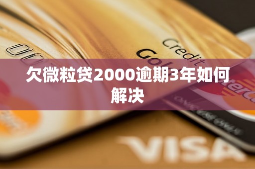 欠微粒贷2000逾期3年如何解决